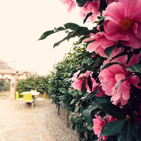 Apartment Casale Di Vacanza Cannobio